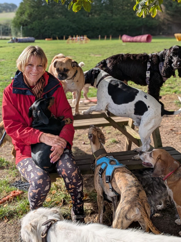 Doggy Field FAQs at Rachel's Doggy Lodge