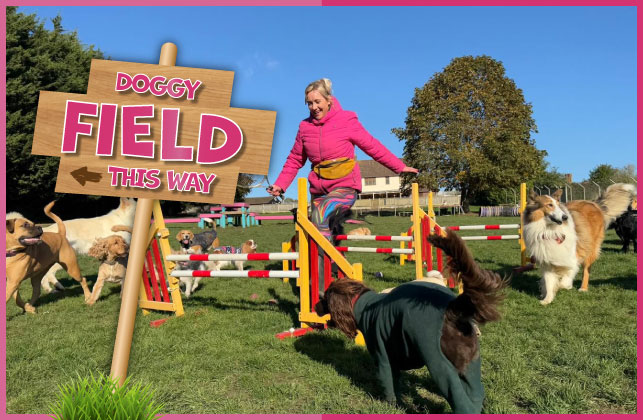 Secure enclosed dog field for off lead play in Braintree Essex