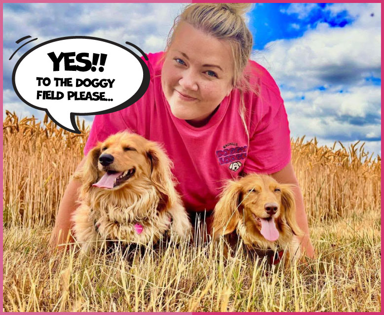 Doggy field gate with clear pricing sign