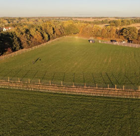 Private field session in open green space
