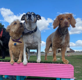Parking next to the gate for easy access