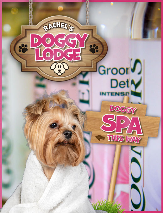 Dog Grooming Spa - Rachels Doggy Lodge