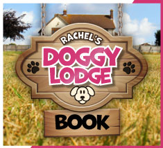 Book Your Service at Rachel's Doggy Lodge