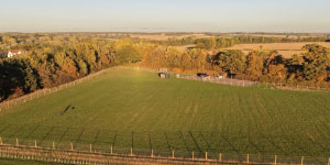 Doggy Field at Hatches Farm now open