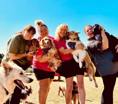 Doggy field gallery image 19 at Rachel's Doggy Lodge