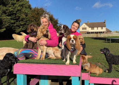 Doggy field gallery image 20 at Rachel's Doggy Lodge