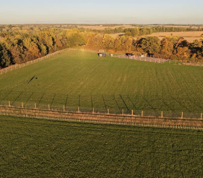 Doggy field gallery image 22 at Rachel's Doggy Lodge