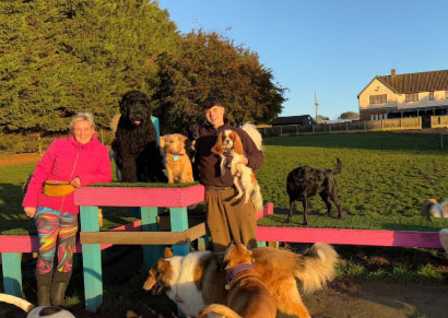 Doggy field gallery image 23 at Rachel's Doggy Lodge