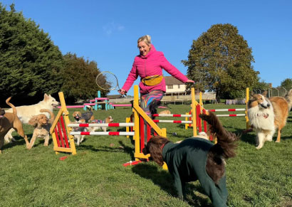 Doggy field gallery image 24 at Rachel's Doggy Lodge