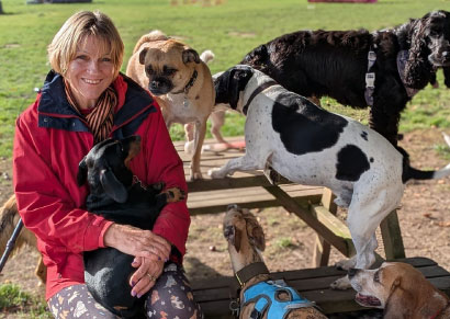 Doggy field gallery image 29 at Rachel's Doggy Lodge