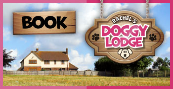 Rachels Doggy Lodge - Dog Boarding | Dog Day Care | Dog Grooming