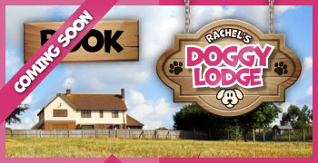 Rachels Doggy Lodge - Dog Boarding | Dog Day Care | Dog Grooming