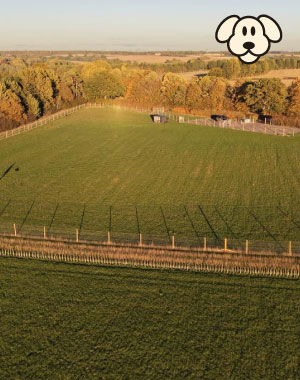 Doggy field hire at Rachel's Doggy Lodge