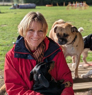 Doggy Field Team caring for dogs in the field